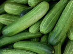 रात में क्यों नहीं खाना चाहिए खीरा, जानें इससे क्या हो सकते हैं नुकसान?
