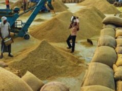 एक्शन मोड में साय सरकार.. इस जिले में धान खरीदी से जुड़े 4 कर्मचारियों पर दर्ज की गई FIR..