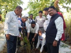 तेल पाम की खेती से बढ़ेगी किसानों की आय : डोंगरगढ़ में प्रशिक्षण, 17,269 रुपए प्रति हेक्टेयर अनुदान