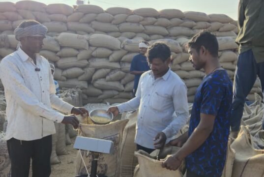 किसान अजय कुमार इस वर्ष धान बिक्री की राशि से करेंगे भतीजे की शादी