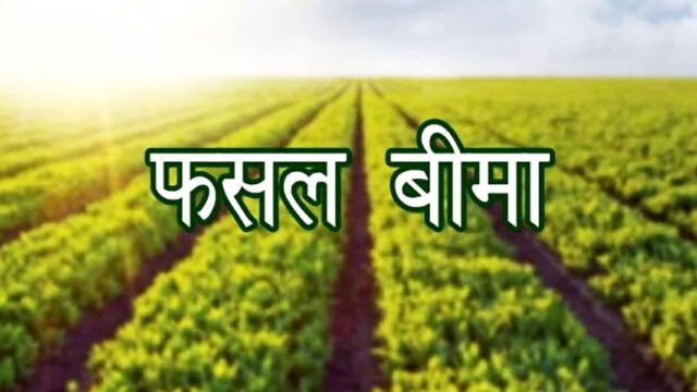 Untitled-27 copy.jpg,kgutc