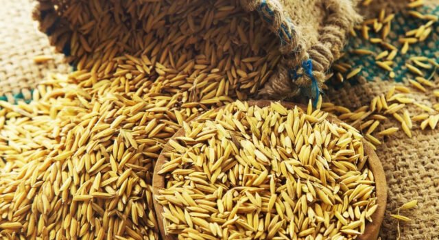 Untitled-4 copy.jpgkutc