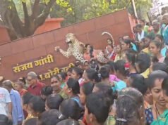 संजय गांधी राष्ट्रीय उद्यान में आदिवासियों का विरोध: प्रशासन के खिलाफ…