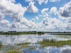 CG Weather Update: धीरे-धीरे विदा हो रही सर्दी! दिन में हल्की गर्मी, बारिश की कोई संभावना नहीं…