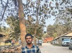 थाना सिटी कोतवाली और सायबर सेल की सयुक्त कार्रवाई, चोरी हुई 5 मोटर सायकलें बरामद, आरोपी गिरफ्तार