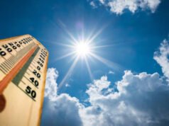 CG: सर्दी की विदाई के संकेत, दिन गरम-रातें नरम; पश्चिमी विक्षोभों से बदलेगा मौसम…