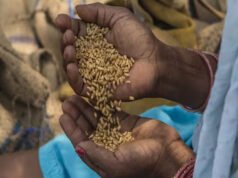 CG: राशन कार्ड धारकों के लिए खुशखबरी, 82 लाख परिवारों को एक साथ मिलेगा 2 महीने का राशन…