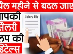 Salary Structure change from 1 April: 1 अप्रैल से आपकी सैलरी स्लिप में दिखेगा बड़ा बदलाव, लागू होने जा रहा नया नियम…