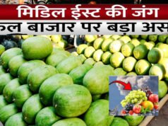 भारत के फल बाजारों में मिडिल ईस्ट तनाव का असर;भारत के फल बाजारों में मंदी का माहौल…