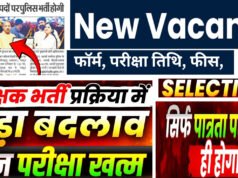 Job Alert: मध्य प्रदेश में शिक्षक भर्ती पैटर्न में बड़ा बदलाव, UP Police SI भर्ती लिखित परीक्षा पर अपडेट, पढ़ें जॉब अलर्ट…