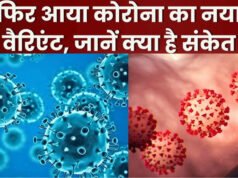 Cicada COVID Variant: कितना घातक है कोविड-19 का नया वेरिएंट BA.3.2? भारत में क्या है स्थिति? 23 देशों में कहर!