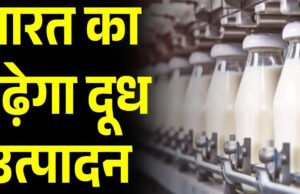 भारत में दूध उत्पादन में अभूतपूर्व वृद्धि: 2025 तक 24.7 करोड़ टन तक पहुंचने की उम्मीद…
