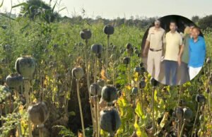 CG: अफीम खेती मामले में भाजपा नेता विनायक ताम्रकार समेत तीन आरोपी भेजे गए जेल…