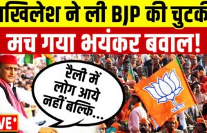 ‘आये हुए और लाये हुए में अंतर…’, सपा की रैली में उमड़ी भीड़ तो अखिलेश यादव ने कसा BJP पर तंज…