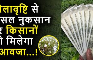 किसानों के लिए गुड न्यूज! ओलावृष्टि से हुए नुकसान की भरपाई करेगी सरकार, चेक करें कब तक आएगा पैसा?