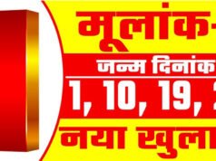 दैनिक अंक ज्योतिष ( Dainik Ank Jyotish 1 April 2026): 1 अप्रैल को खुलेंगे तरक्की के रास्ते, जानें अपना अंक ज्योतिष राशिफल…