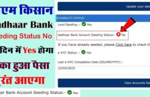 PM Kisan Aadhaar Seeding: रुकी हुई किस्त पाने का सबसे आसान तरीका, घर बैठे करें ये काम, खाते में आ जाएंगे पैसे…