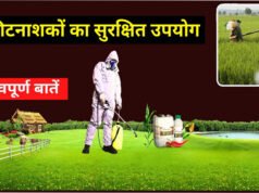Pesticides Spraying Safety Tips: कीटनाशक छिड़कते वक्त जरूर बरतें ये सावधानी’