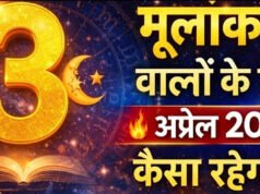 दैनिक अंक ज्योतिष ( Dainik Ank Jyotish 3 April 2026): मूलांक 3 और भाग्यांक 8 का बनेगा जबरदस्त मेल, सफलता के खुलेंगे रास्ते…