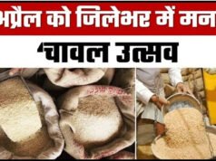 CG: जिले के सभी 498 शासकीय उचित मूल्य दुकानों में मनाया गया चावल उत्सव…