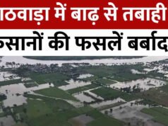 Maharashtra Rain: मराठवाड़ा-विदर्भ में किसानों पर कहर बनकर टूटी बिन मौसम बरसात, 1.22 लाख हेक्टेयर फसल बर्बाद…