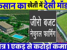 किसान भाई शुरू करें जीरो बजट फार्मिंग, नोट छापने की मशीन बन जाएगी खेती’