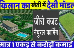 किसान भाई शुरू करें जीरो बजट फार्मिंग, नोट छापने की मशीन बन जाएगी खेती’