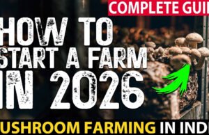 Mushroom Farming: दुनिया में सबसे ज्यादा कहां होती है मशरूम की खेती, जानें किस पायदान पर आता है India?