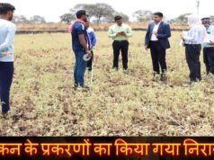 CG: कलेक्टर ने कन्हारपुरी के खेतों में पहुंचकर मौके पर सीमांकन कार्य का लिया जायजा’