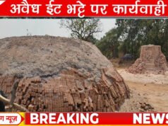 CG” राजस्व एवं वन विभाग की संयुक्त टीम द्वारा अवैध ईंट भट्टा पर की गई कार्रवाई’