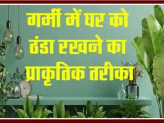 “गर्मी में घर को ठंडा रखने के देसी उपाय: जानें कैसे करें राहत”