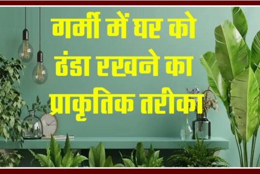 “गर्मी में घर को ठंडा रखने के देसी उपाय: जानें कैसे करें राहत”