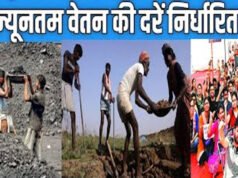 CG: छत्तीसगढ़ में श्रमिकों के न्यूनतम वेतन और महंगाई भत्ते में वृद्धि नई दरें 01 अप्रैल से लागू…