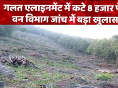 धमतरी-जगदलपुर नेशनल हाईवे गलत एलाइनमेंट में काटे गए 8 हजार से अधिक पेड़…
