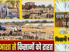 पीएम-आशा योजनांतर्गत दलहन-तिलहन फसलों की खरीदी पर किसानों को 1.86 करोड़ रूपए का भुगतान…