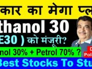 पेट्रोल में 30 फीसदी तक मिलाया जाएगा एथेनॉल, जानिए क्या है सरकार का पूरा प्लान…