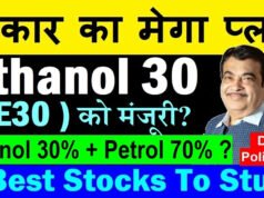 पेट्रोल में 30 फीसदी तक मिलाया जाएगा एथेनॉल, जानिए क्या है सरकार का पूरा प्लान…