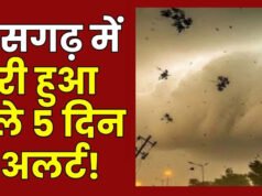 छत्तीसगढ़ में अगले 5 दिन बारिश के आसार, गरज-चमक और अंधड़ चलने की संभावना; IMD ने जारी…