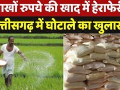 वन विभाग में वित्तीय हेराफेरी, cg में लाखों का गोबर खाद घोटाला, बड़ी कार्रवाई..