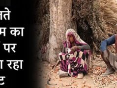 बदलते मौसम का फसल पर भी पड़ता है असर, अभी से ये तैयारियां कर लें किसान…
