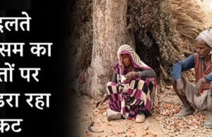 बदलते मौसम का फसल पर भी पड़ता है असर, अभी से ये तैयारियां कर लें किसान…