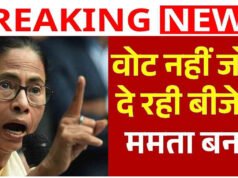 ‘BJP अगर 500-700 वोटों से आगे हो तो दोबारा गिनती की मांग करें’, ममता बनर्जी का TMC कार्यकर्ताओं को संदेश’