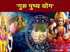 Guru Pushya Nakshatra Yog: वृषभ समेत इन 5 राशियों की आज से बदलेगी किस्मत, सोने की तरह चमकेगा करियर…