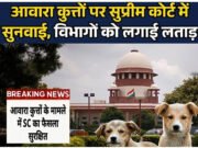 सुप्रीम कोर्ट ने राज्यों और केंद्र शासित प्रदेशों को आवारा कुत्तों से निपटने के लिए बुनियादी ढांचा मजबूत करने का निर्देश दिया….