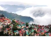 ” भारत के खूबसूरत हिल स्टेशनों में शानगढ़ हिमाचल का छिपा हुआ स्वर्ग…”
