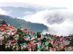 ” भारत के खूबसूरत हिल स्टेशनों में शानगढ़ हिमाचल का छिपा हुआ स्वर्ग…”