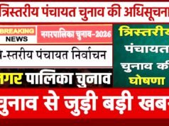 नगर पालिका एवं त्रिस्तरीय पंचायत आम व उप निर्वाचन – जिले में मतदान शांतिपूर्वक संपन्न…