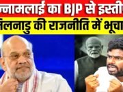 Explained: अन्नामलाई का इस्तीफा बीजेपी की पूरी रणनीति पर सवालिया निशान