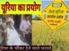 नैनो उर्वरकों ने बदली किसान की तस्वीर, कम लागत में बेहतर उत्पादन से बढ़ा आत्मविश्वास….
