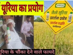 नैनो उर्वरकों ने बदली किसान की तस्वीर, कम लागत में बेहतर उत्पादन से बढ़ा आत्मविश्वास….
